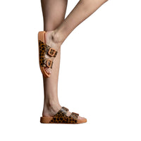 TERRACOTTA