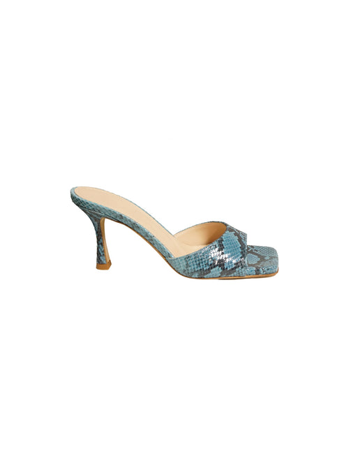 Mule in pitone